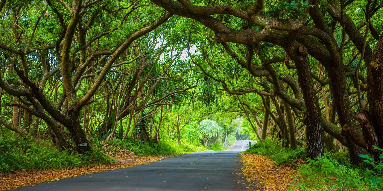 Kirpal Meditation And Ecological Center Hotel Pahoa