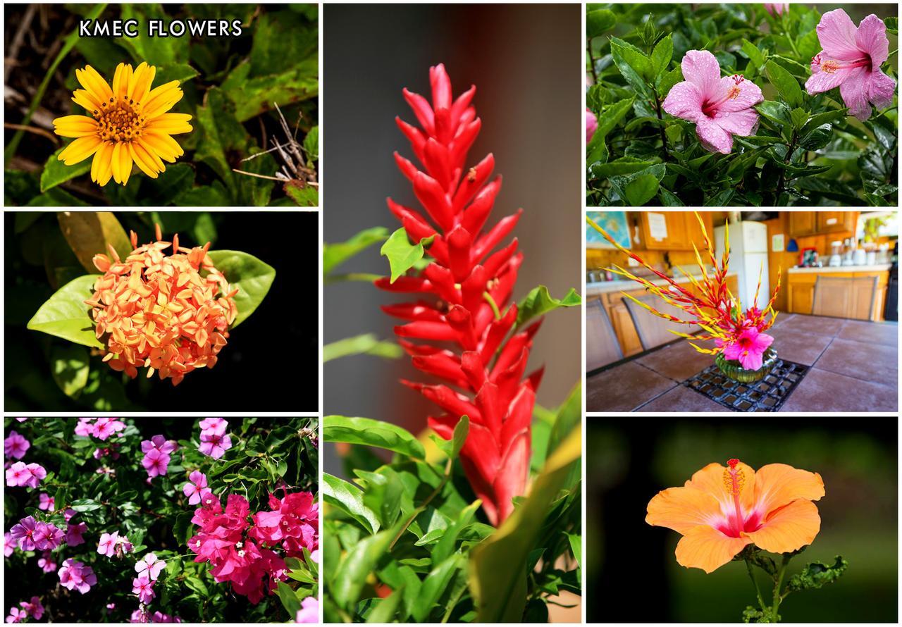 Kirpal Meditation And Ecological Center Hotel 2*