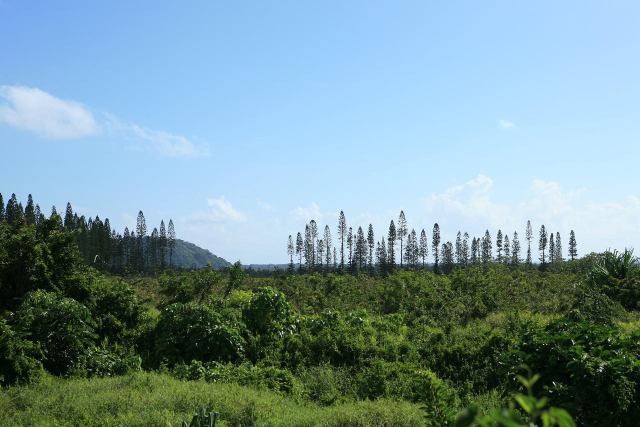 Hotel Kirpal Meditation And Ecological Center