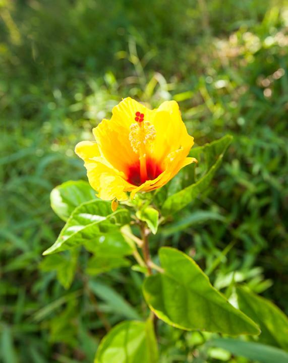 Hotel Kirpal Meditation And Ecological Center