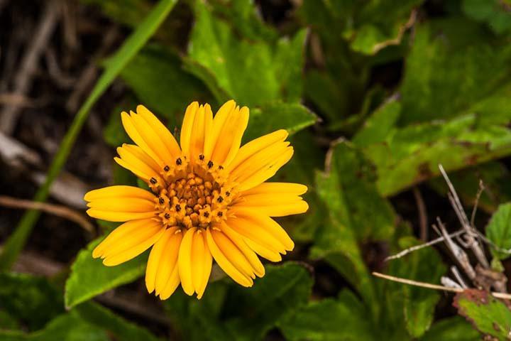 Kirpal Meditation And Ecological Center Hotel