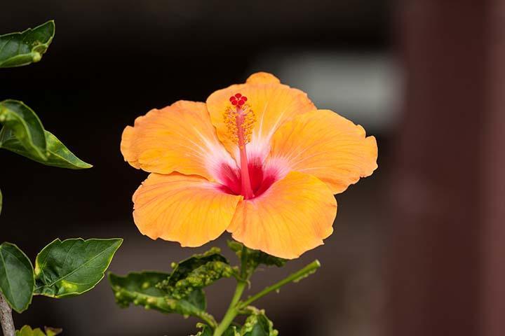 Kirpal Meditation And Ecological Center Hotel 2*