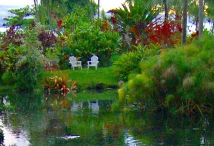 Bed & Breakfast At The Beach With Friends *