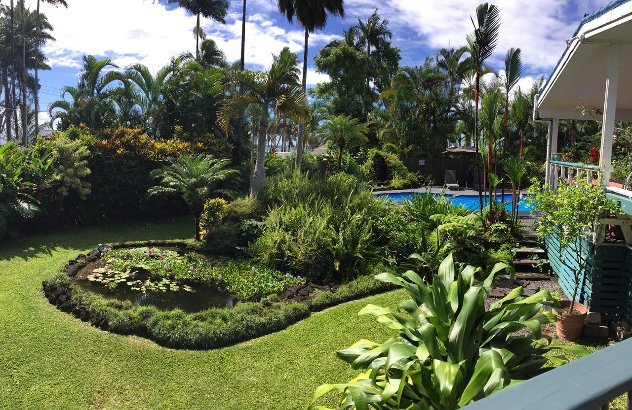 Orchid Tree Bed & Breakfast *