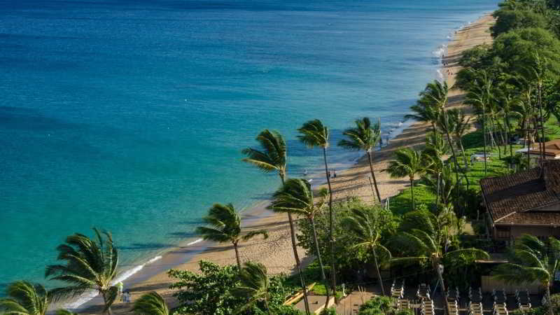 Ocean 3*