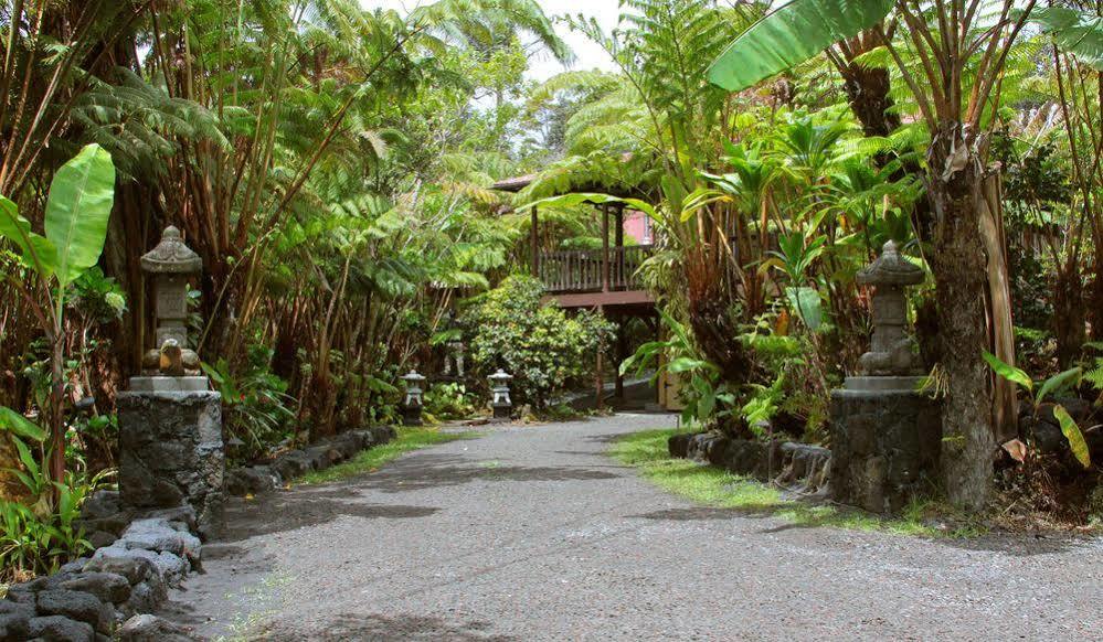 Bed & Breakfast Lotus Garden 3*