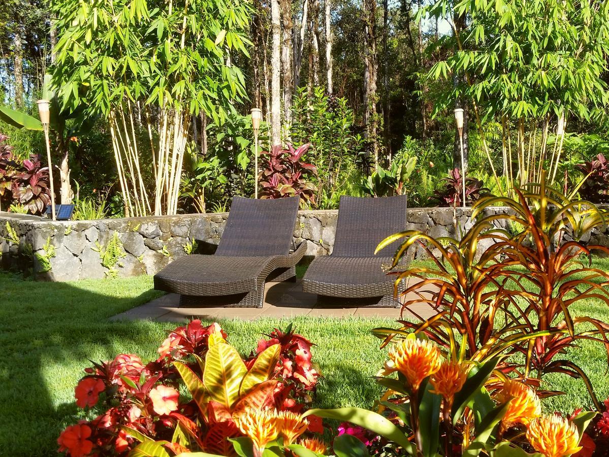 Volcano Eco Retreat By Heart Core - Adults Only Bed & Breakfast Fern Acres