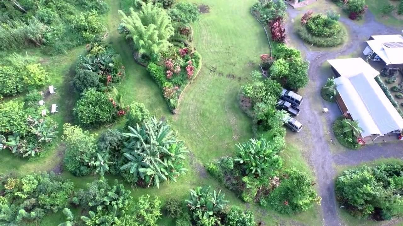 Farm stay Hawaiian Sanctuary Eco Retreat Center