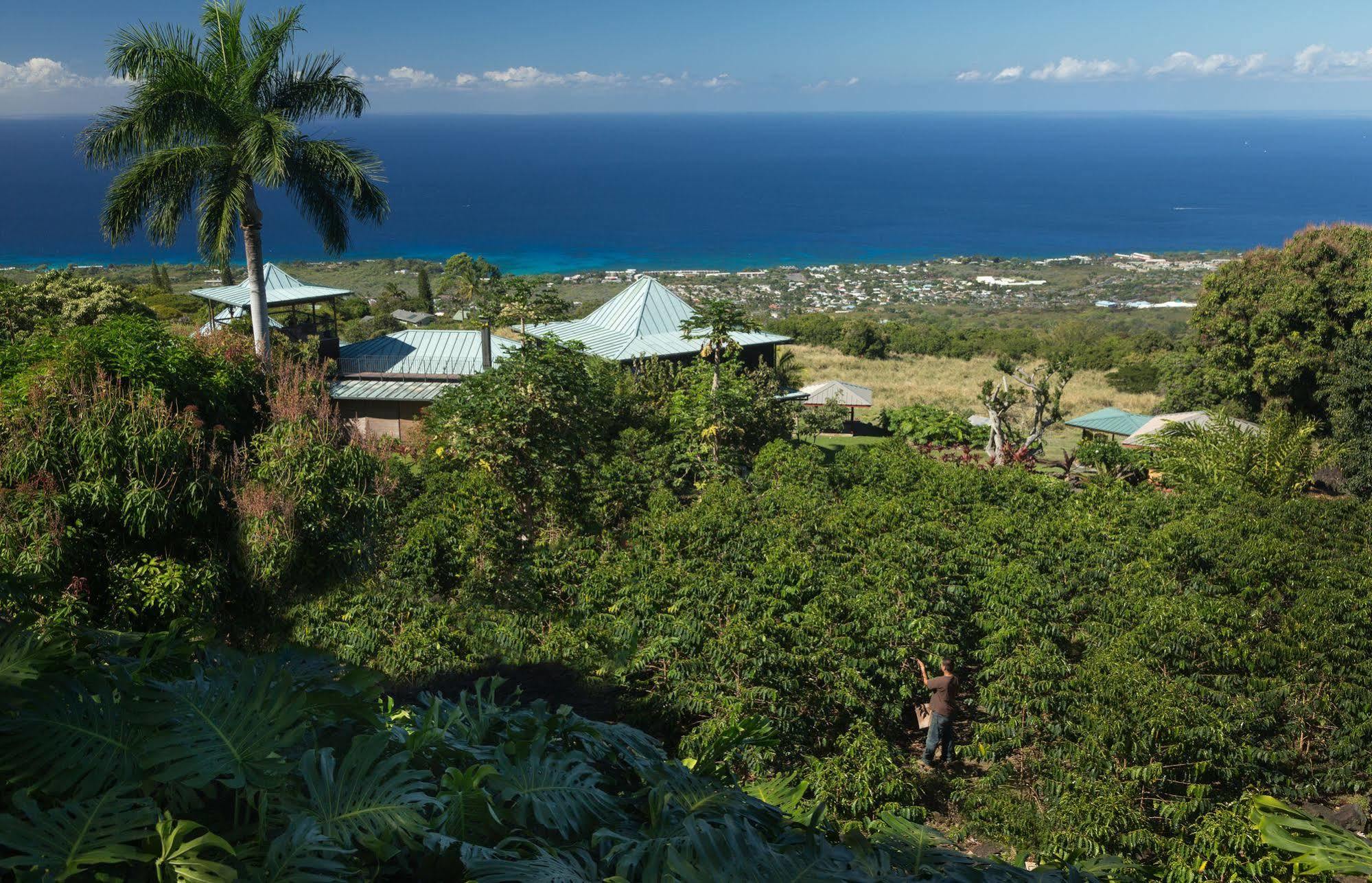 Inn Holualoa Inn