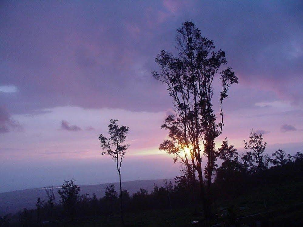 Mango Sunset At Lyman Organic Kona Coffee Farms 4*