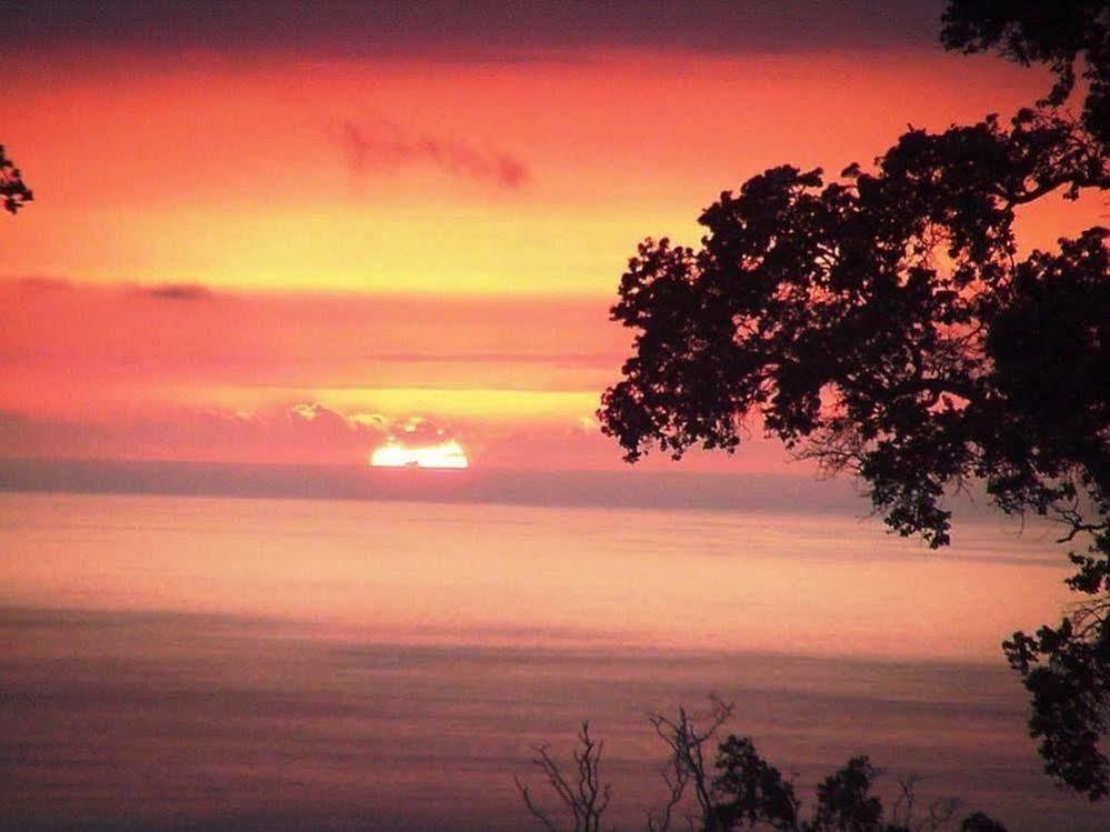 Mango Sunset At Lyman Organic Kona Coffee Farms 4* Kalaoa