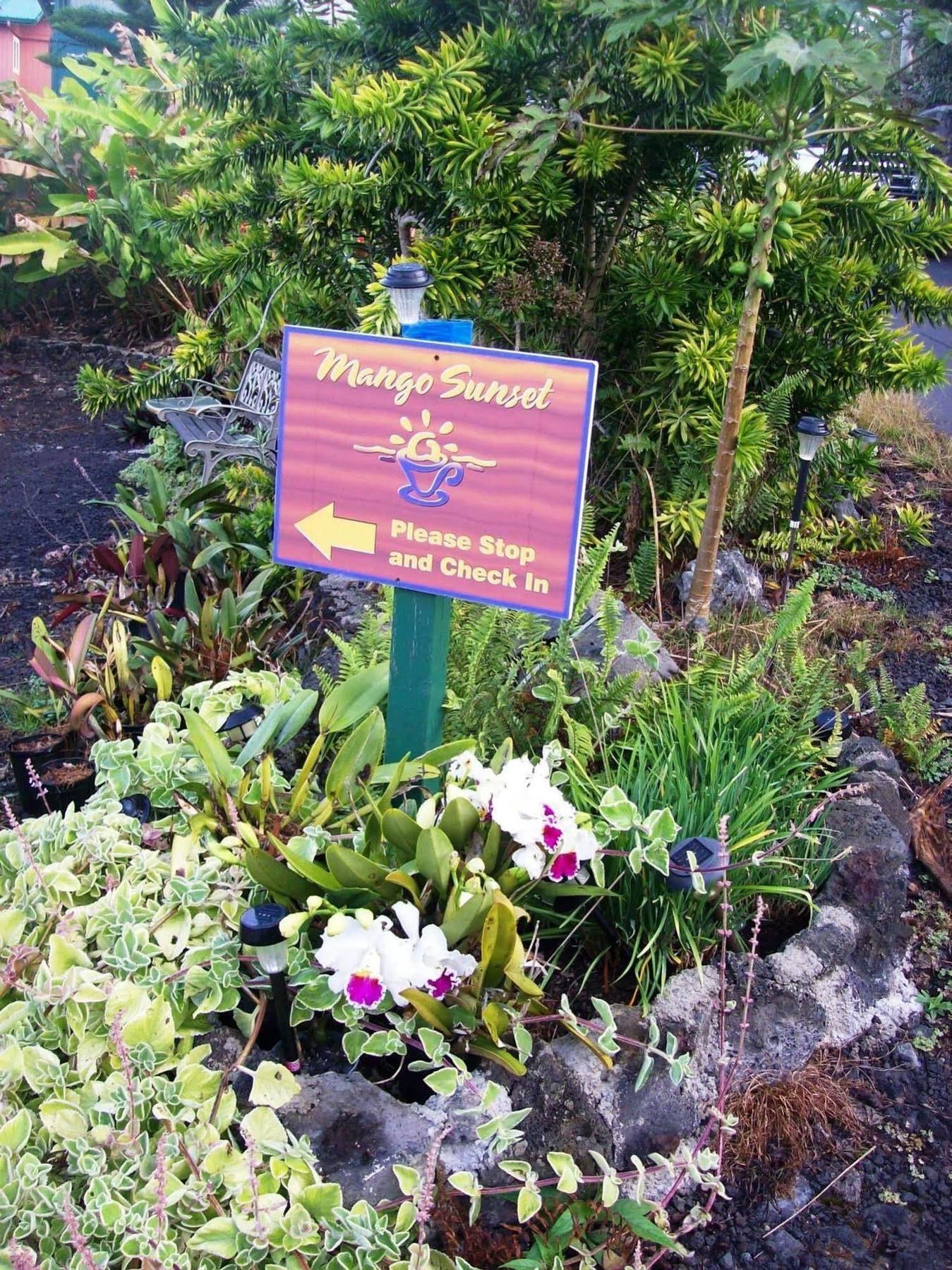 Bed & Breakfast Mango Sunset At Lyman Organic Kona Coffee Farms 4*