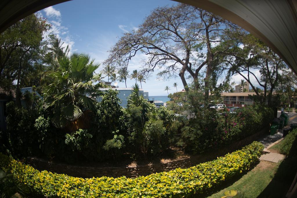 Maui Vista Kihei