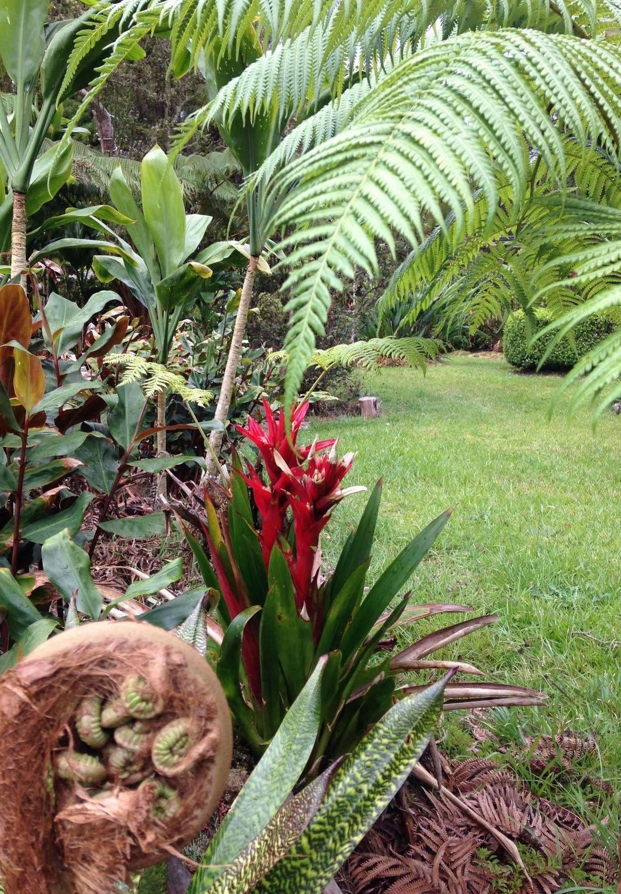 Aloha Happy Place Volcano