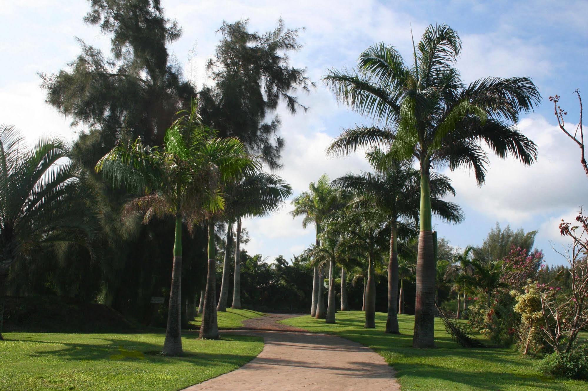 Hawaii Island Retreat At Ahu Pohaku Ho'omaluhia Lodge *