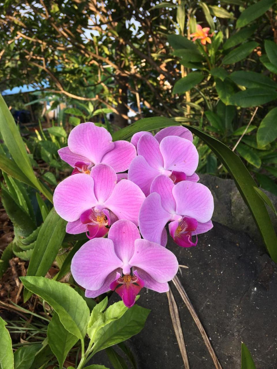 Kona Bayview Bed & Breakfast 3*