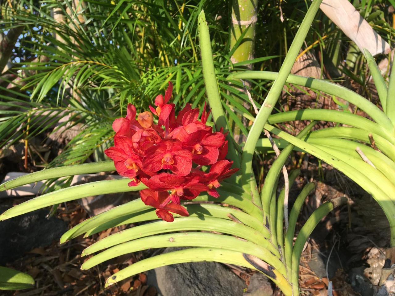 Kona Bayview Bed & Breakfast