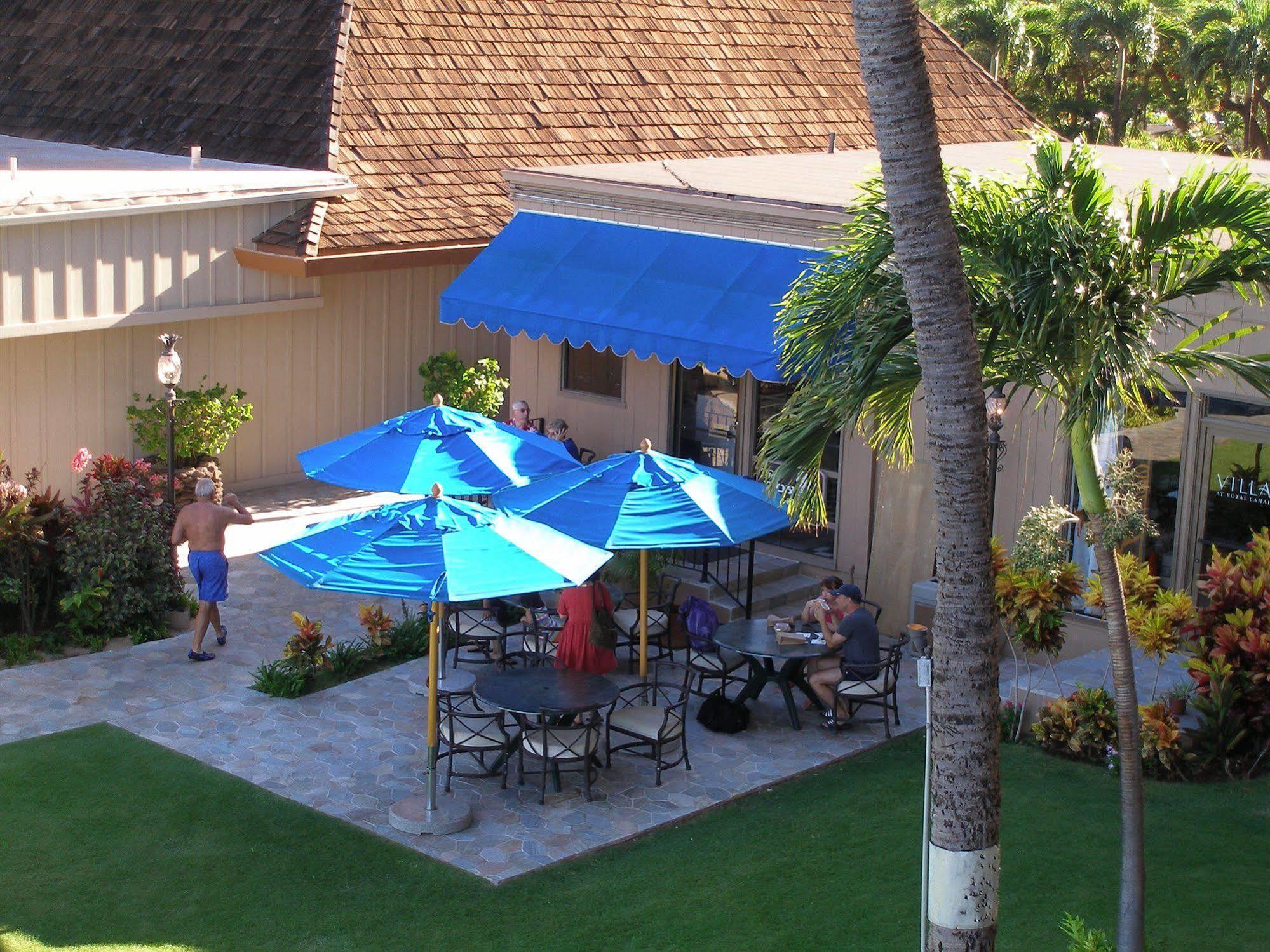 Ocean Resort 3*