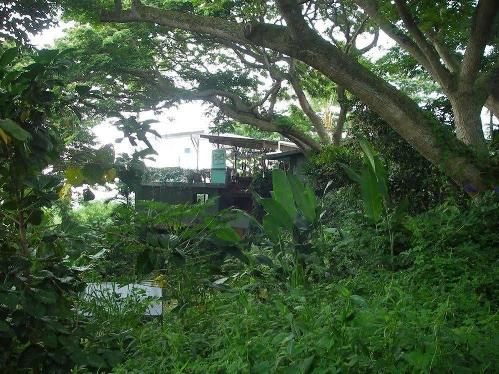 Guest house Dragonfly Ranch & Eco-spa 3*