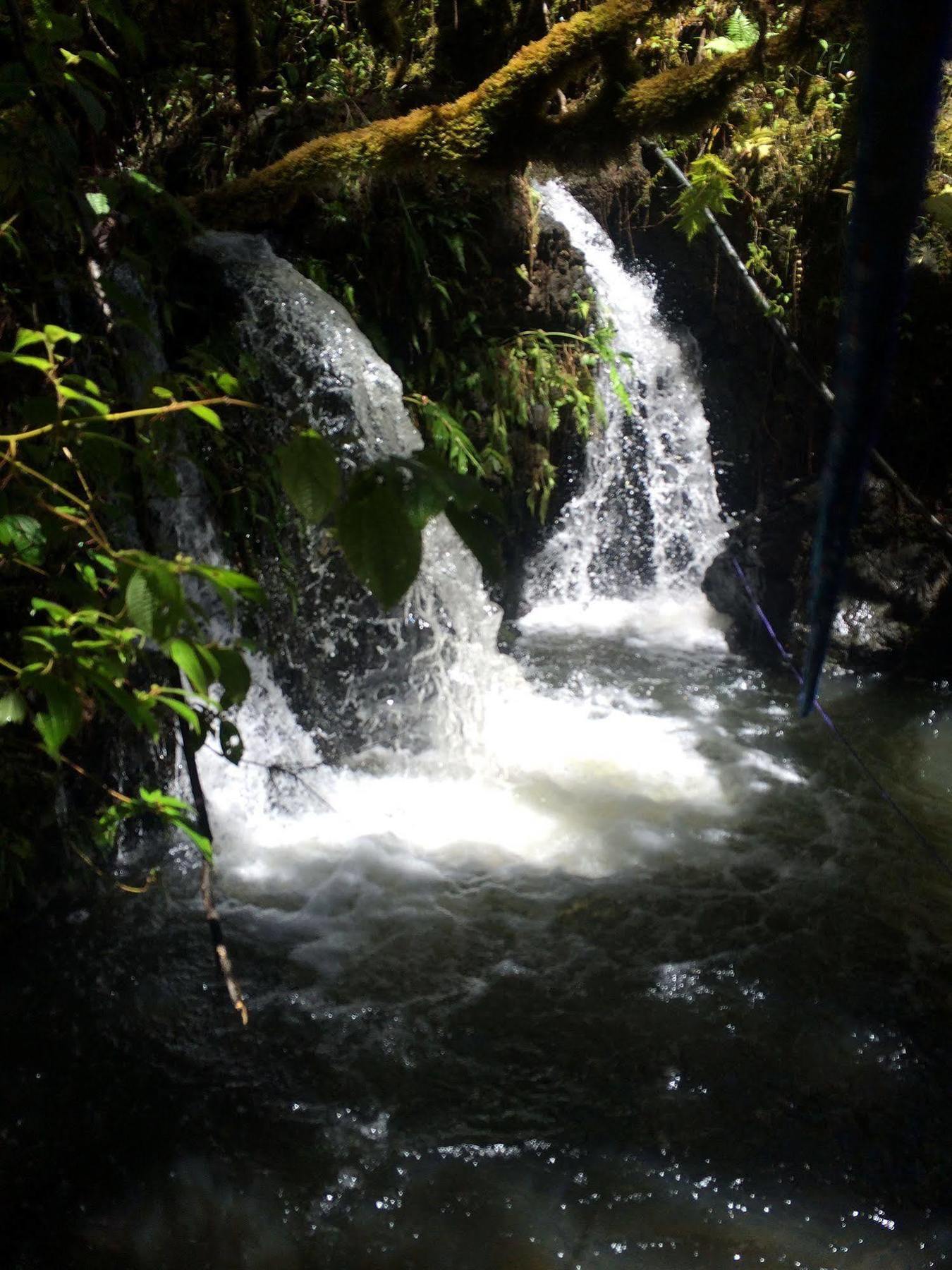 Hawaiian Hideaway At Akaka Falls Hotel
