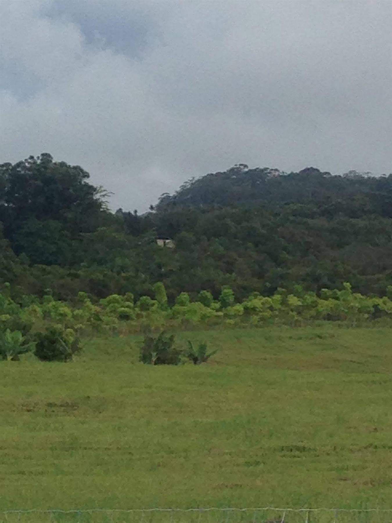Hawaiian Hideaway At Akaka Falls