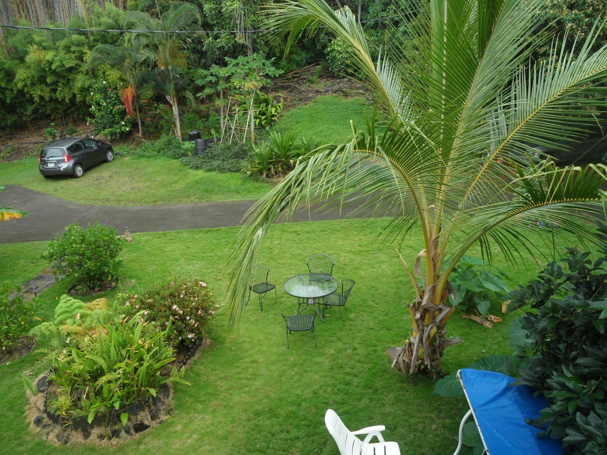 Bed & Breakfast A Beautiful Edge Of The World Captain Cook