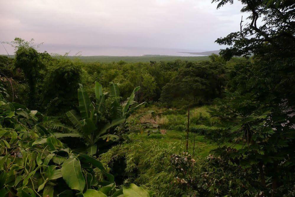 Dragonfly Ranch & Eco-spa