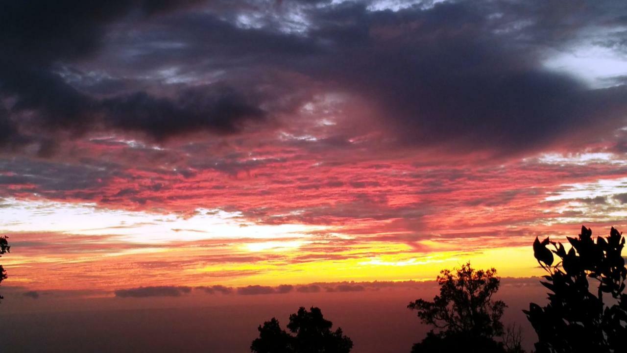 Mango Sunset At Lyman Organic Kona Coffee Farms 4* Kalaoa