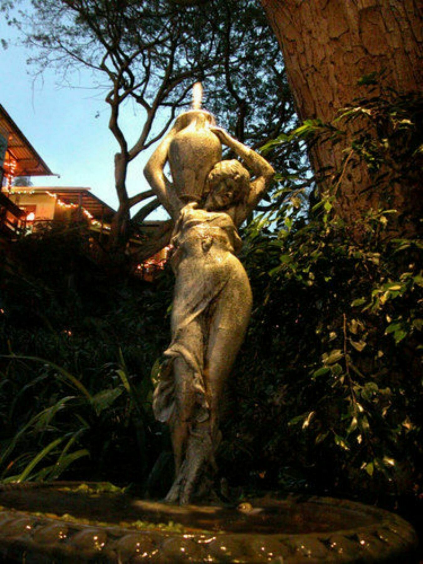 Guest house Dragonfly Ranch & Eco-spa Honaunau-Napoopo