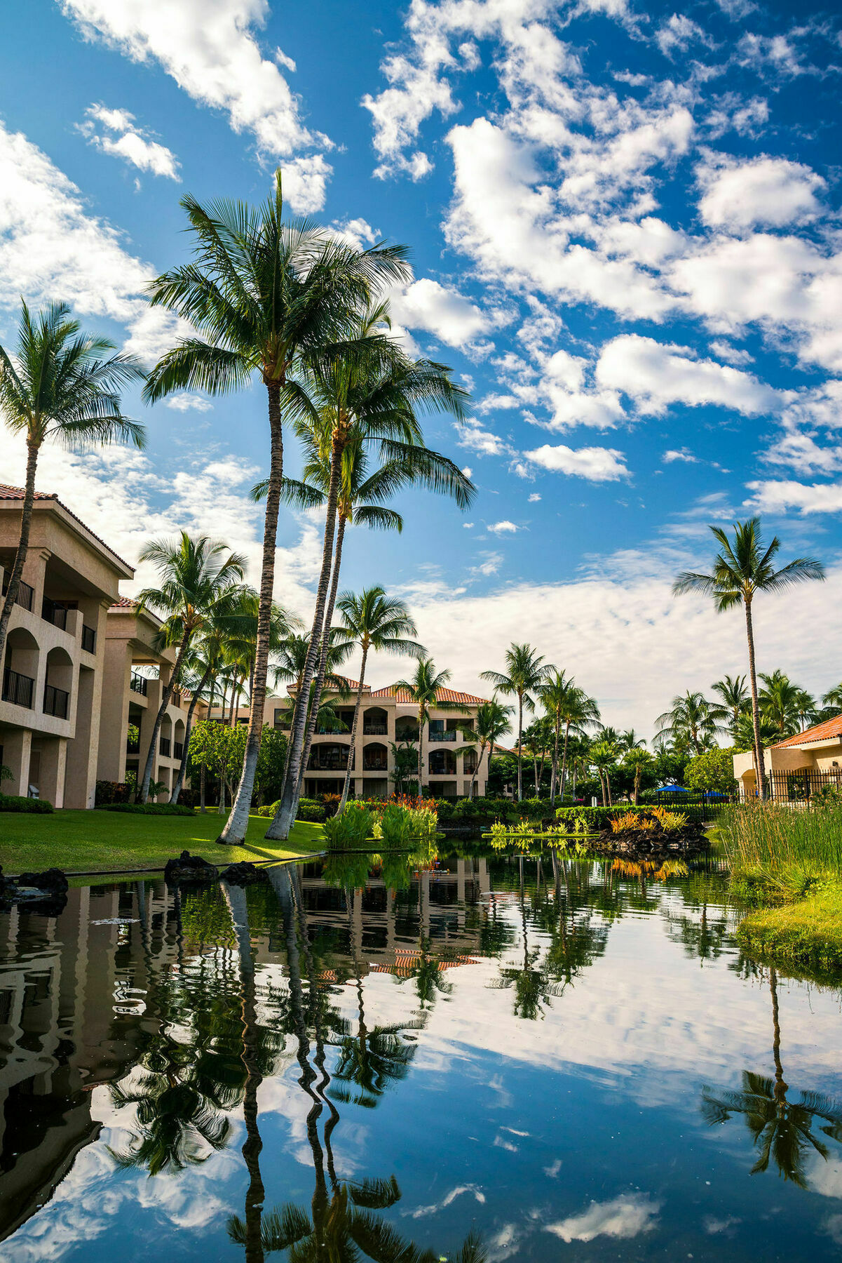 Aparthotel Aston Shores At