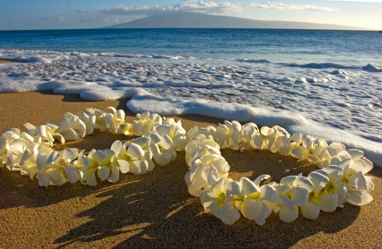 Apartment Beautiful In The Heart Of Vibrant Waikiki