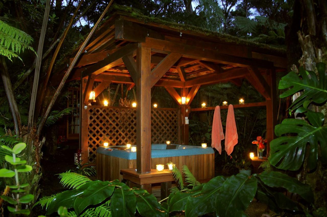 Rainforest Retreat Volcano