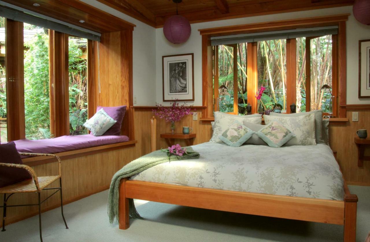 Rainforest Retreat Bed & Breakfast Volcano