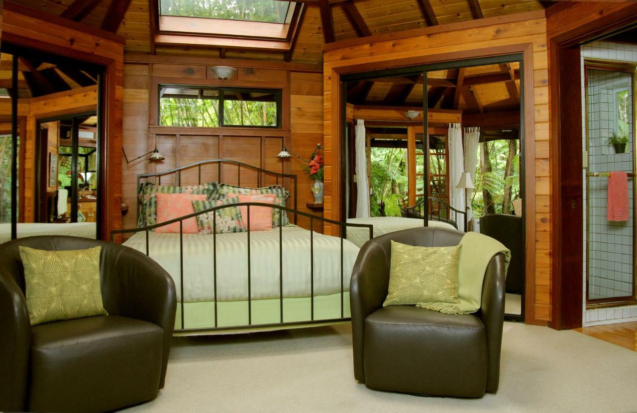 Rainforest Retreat Volcano