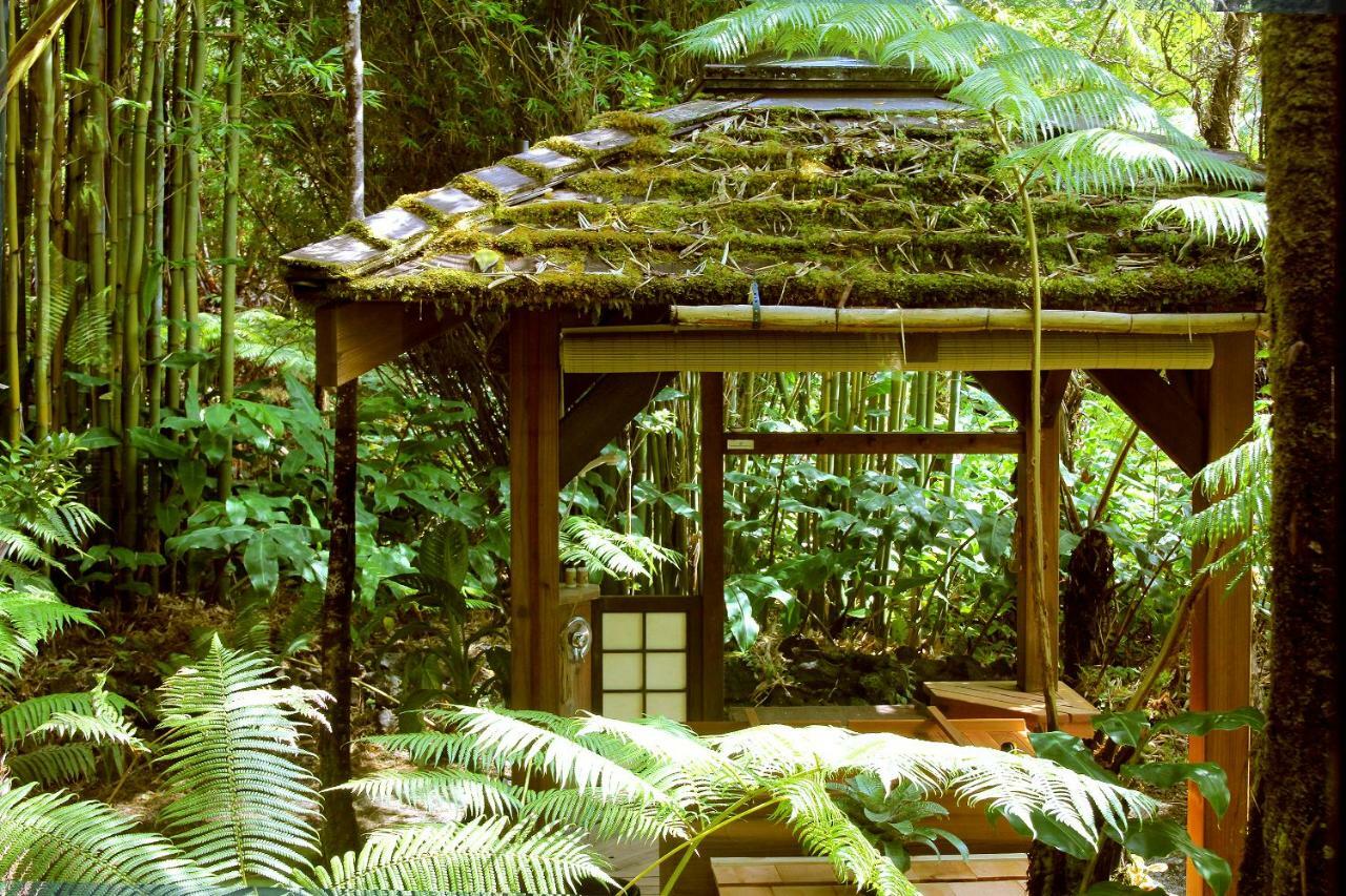 Rainforest Retreat Bed & Breakfast 2*