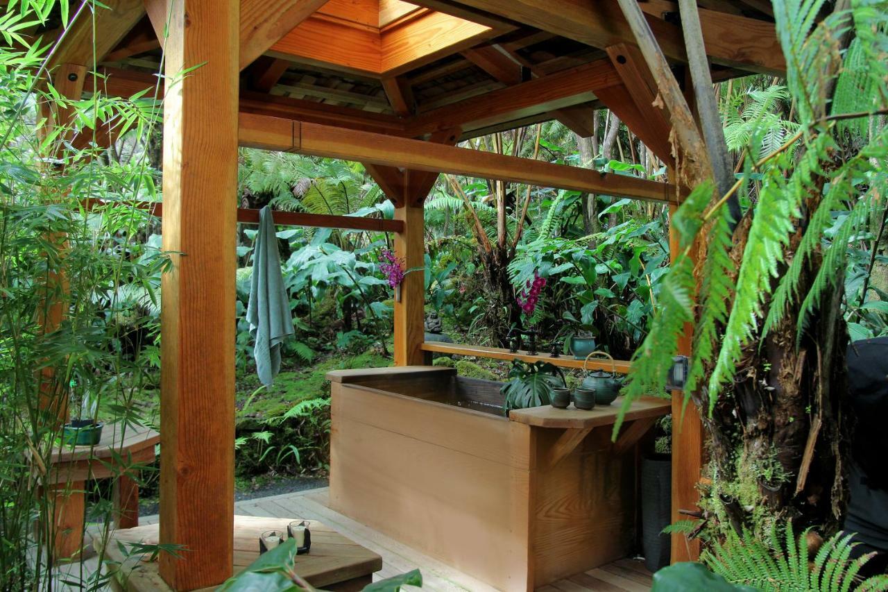Rainforest Retreat Bed & Breakfast