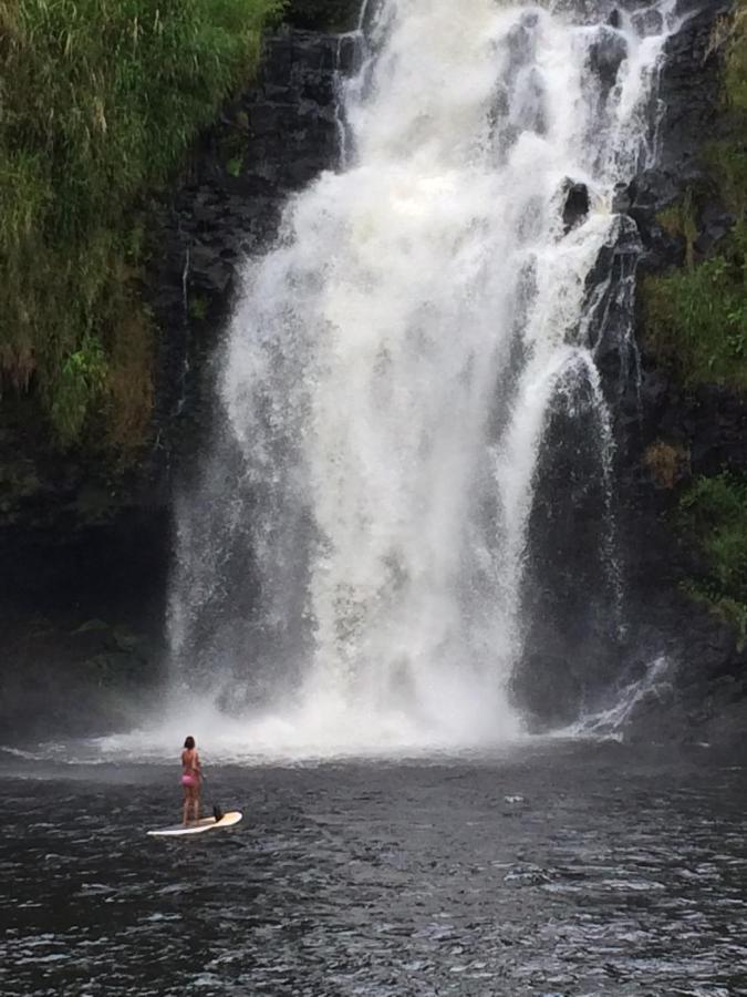 The At Kulaniapia Falls Inn Hilo