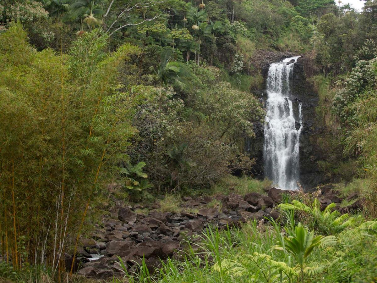 The At Kulaniapia Falls Hilo