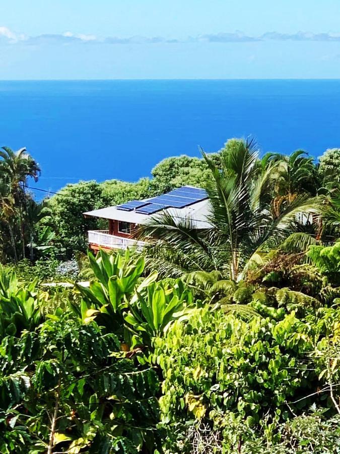 Coffee Garden Bed & Breakfast Captain Cook