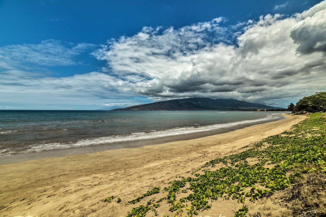 Apartment Ocean-view With Pool Access! Kihei